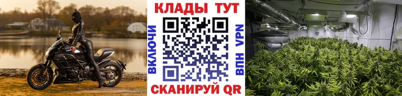 КЕТАМИН Заполярный