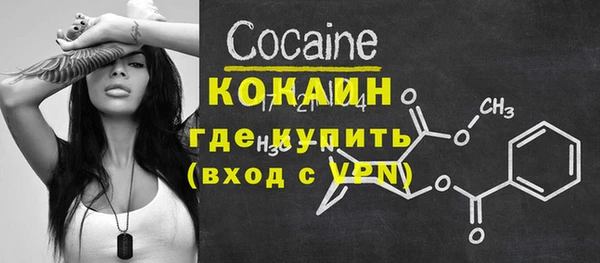 прущие грибы Вязьма