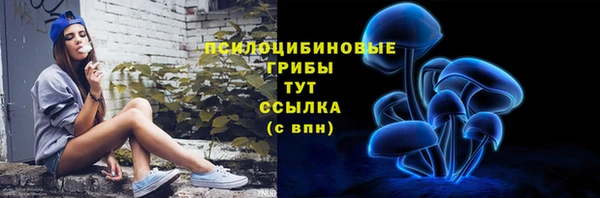 меф Горняк