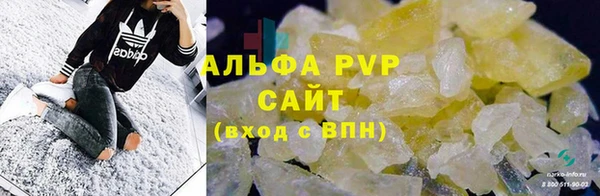 стаф Вязники