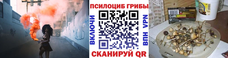 цены   mega зеркало  Галлюциногенные грибы Psilocybine cubensis  Заполярный 